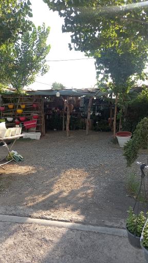 عکس نهالستان رایان