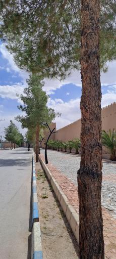 عکس ارگ تاریخی محمد آباد