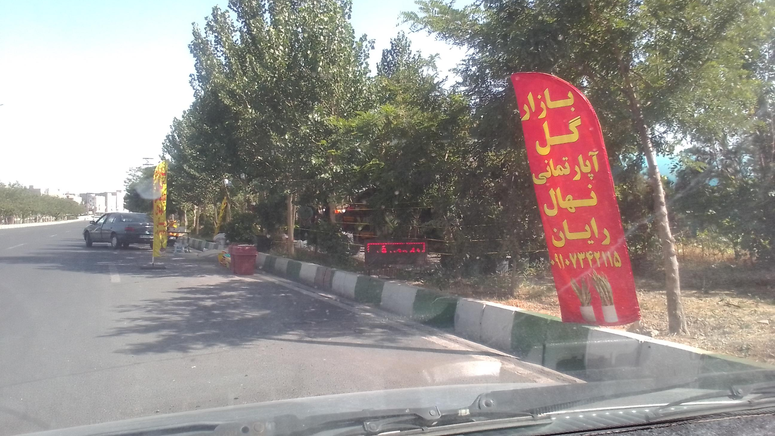 عکس نهالستان رایان