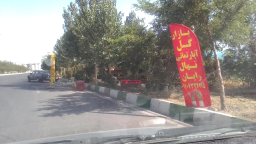 عکس نهالستان رایان