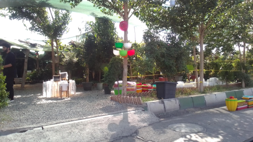 عکس نهالستان رایان