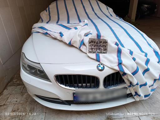 عکس چادردوزی علیزاده