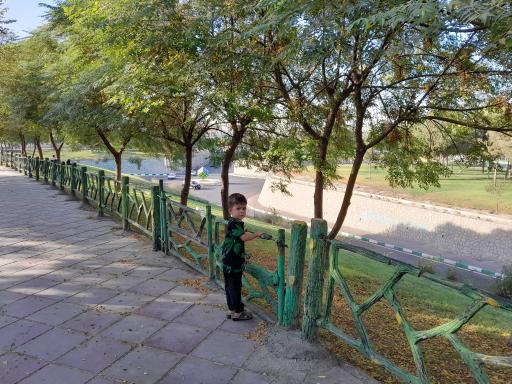 عکس پارک جنگلی زیباشهر