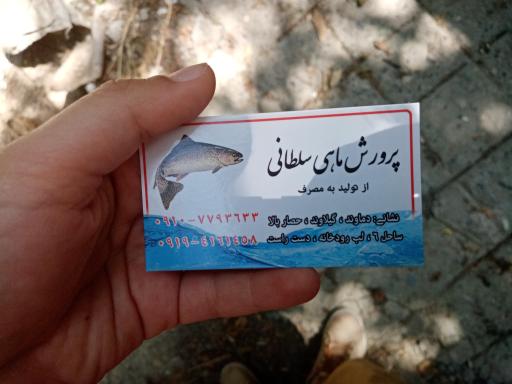 عکس پرورش ماهی قزل آلا حصار بالا