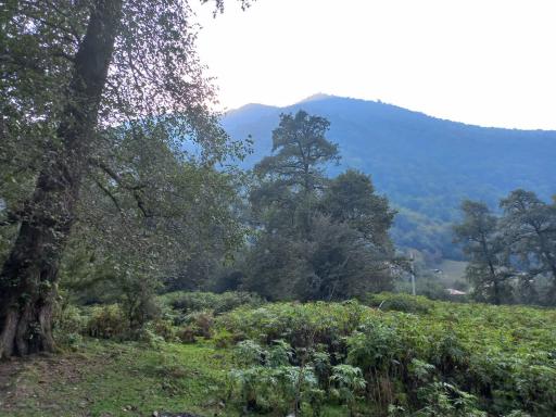 عکس واز تنگه