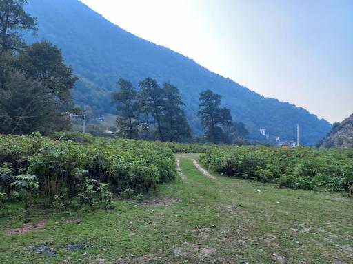 عکس واز تنگه