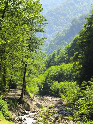 عکس واز تنگه