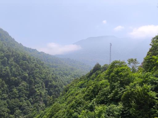 عکس واز تنگه