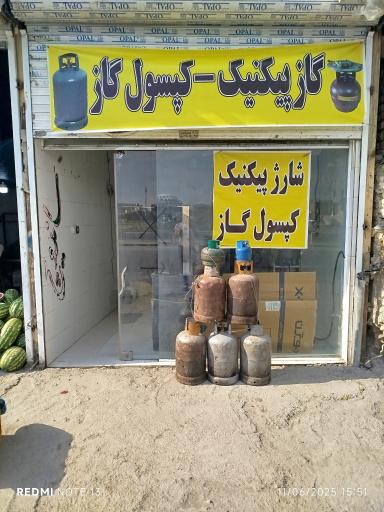 عکس پیکنیک پر کنی 