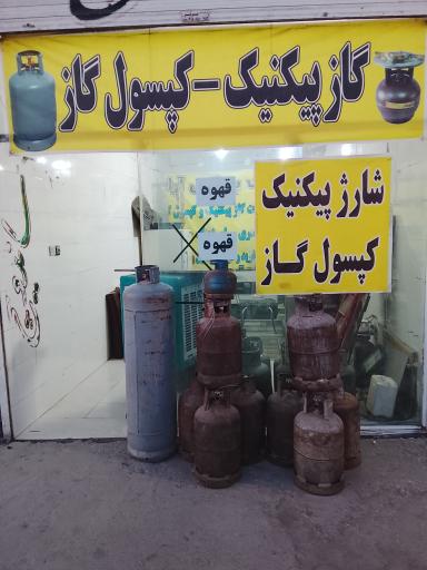 عکس پیکنیک پر کنی 