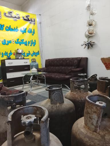 عکس پیکنیک پر کنی 