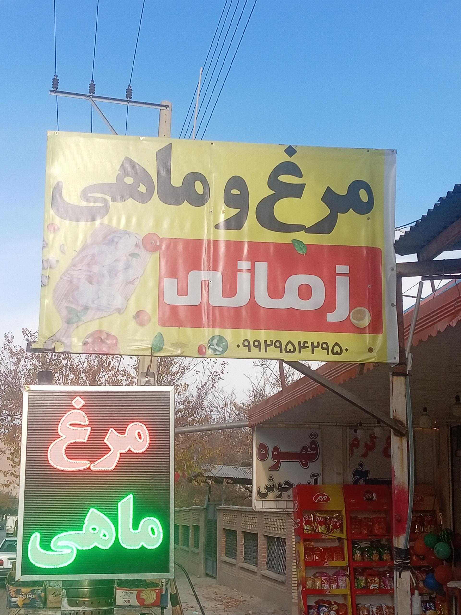 عکس مرغ و ماهی جواد زمانی