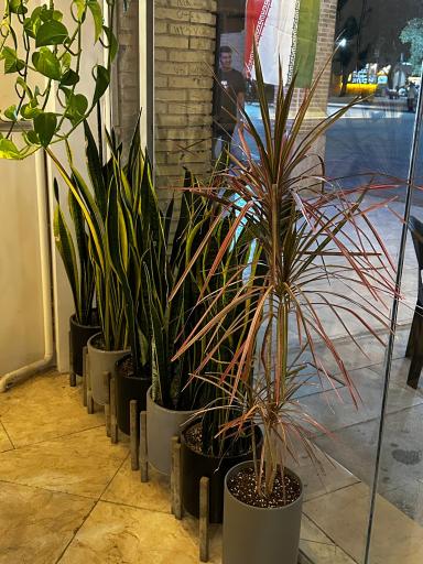 کافه بامداد