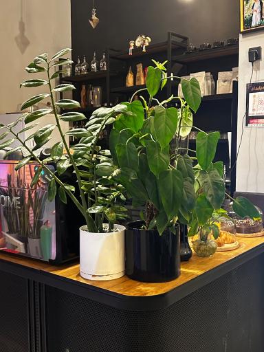 عکس کافه بامداد