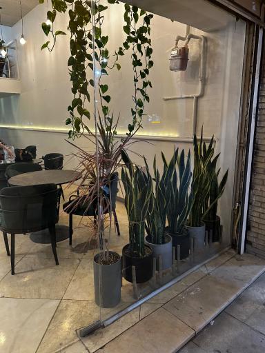 کافه بامداد