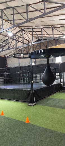 عکس باشگاه بوکس علیرضا حاتمی