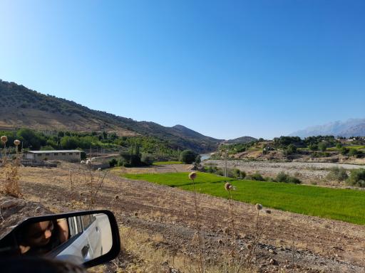 عکس شاه مختار