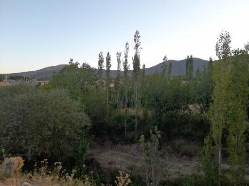 عکس شاه مختار