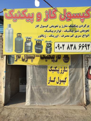 عکس پیکنیک پر کنی 