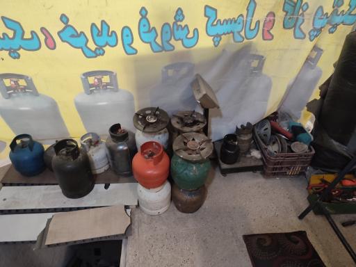 عکس پیکنیک پر کنی 