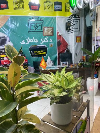 عکس فروشگاه دکتر باطری 1