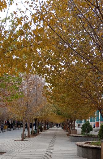 عکس بوستان ملی