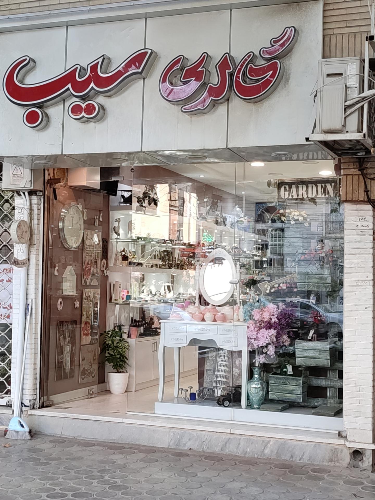 عکس گالری سیب