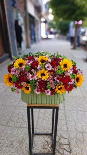 عکس گل آس