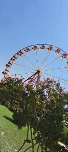 عکس چرخ و فلک دریاچه