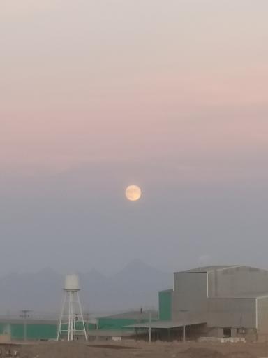 عکس ایفا سرام