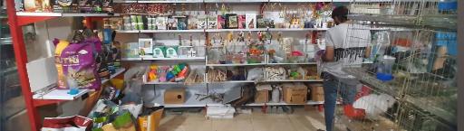 عکس پرنده فروشی و پت شاپ