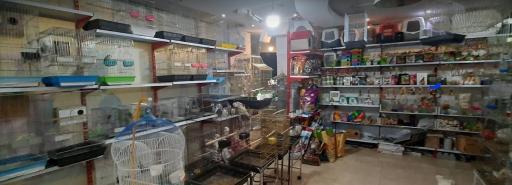 عکس پرنده فروشی و پت شاپ