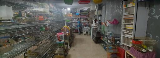 عکس پرنده فروشی و پت شاپ