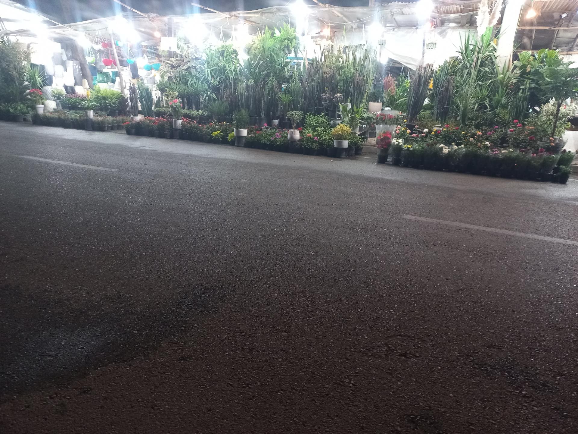 عکس گلفروشی پامچال