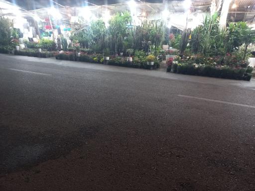 عکس گلفروشی پامچال