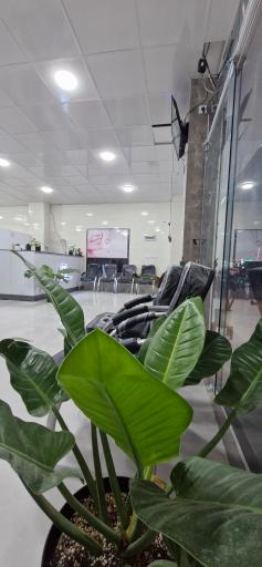 عکس مطب دندانپزشکی دکتر محمد جواد حسن زاده