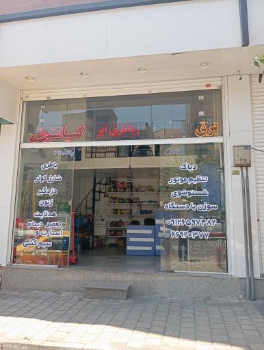 عکس برق و باطری کیانوش 