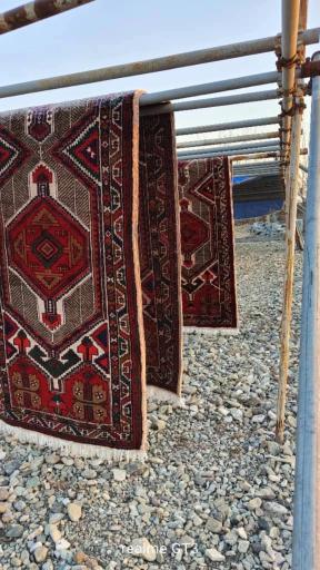 عکس قالیشویی گلستان