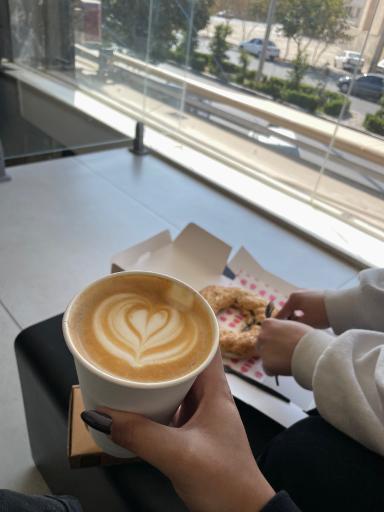 عکس کافه لوسیدا