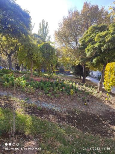 عکس پارک یاس