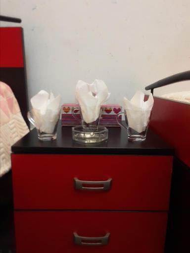 عکس مهمانپذیر زیبا