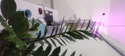 عکس مطب دندانپزشکی دکتر محمد جواد حسن زاده