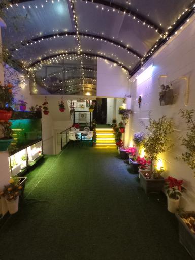 عکس سالن زیبایی محیا