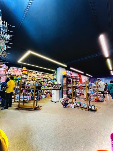 عکس خوشحالی فروشی دیزنی 