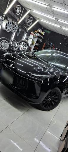 عکس تشخیص رنگ ماشین پارسیان پویا