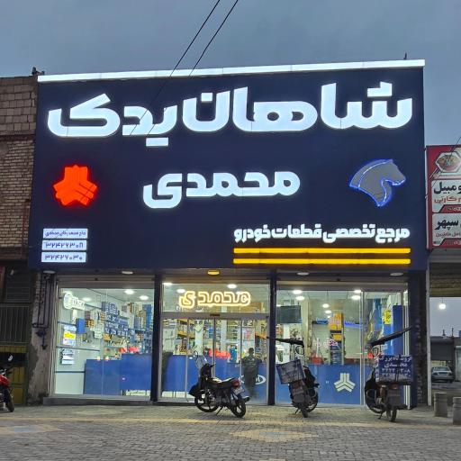 عکس مجموعه بزرگ شاهان یدک محمدی 