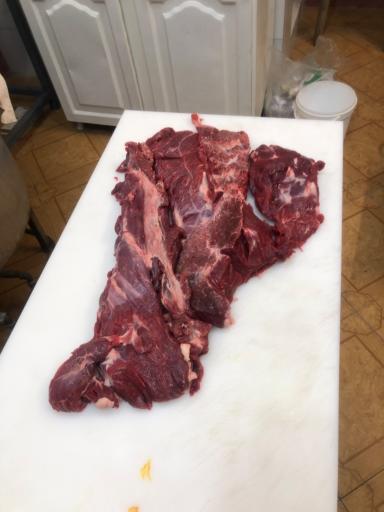 عکس کترینگ غنچه