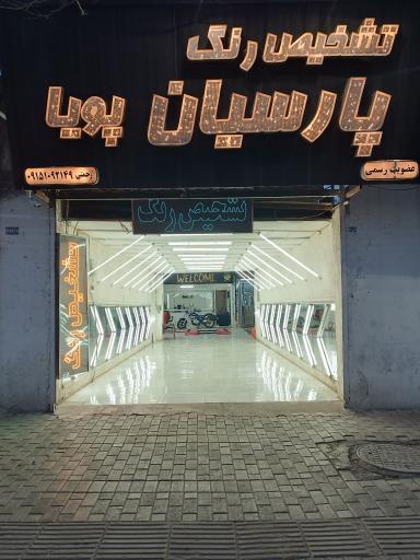 عکس تشخیص رنگ ماشین پارسیان پویا