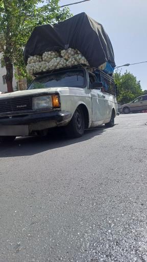 عکس میوه فروشی وانتی