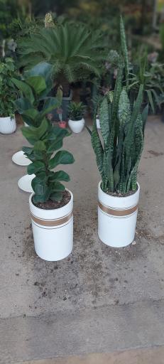 عکس گلدشت عطاالهی